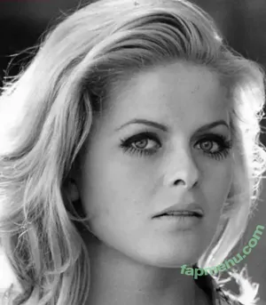 Vintage Vidsvarious Xxx / hub_vintage nude photo #0061