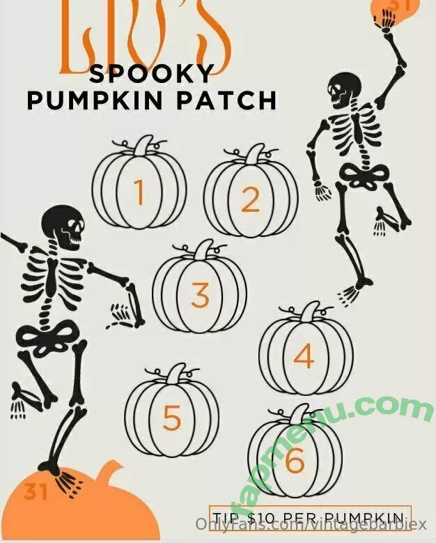 vintagebarbiex nude photo #0889 (vintagebxrbie)