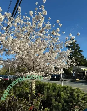 violetplustommy / violetandtommy / violetsaretommy / violetvandyke nude photo #0085