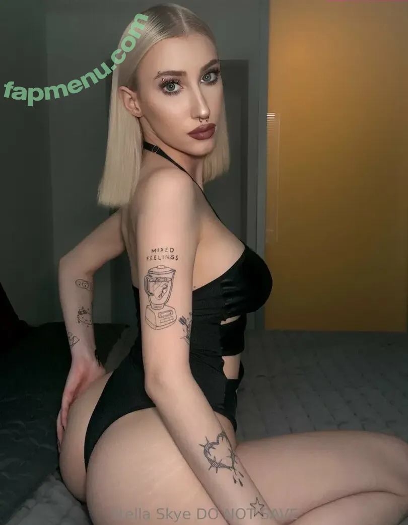 vipstellaskye nude photo #0202 (itsstellaskye)