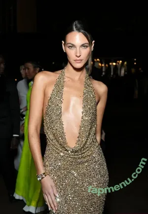 Vittoria Ceretti / vittoria nude photo #0432