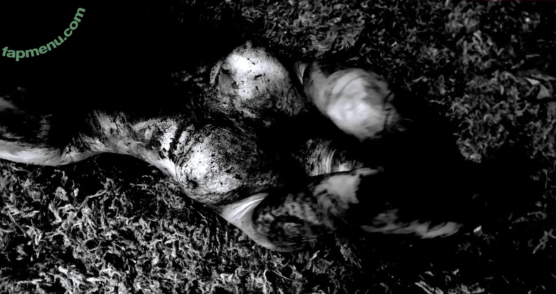 Vivian Seixas nude photo #0001 (djviviseixas)