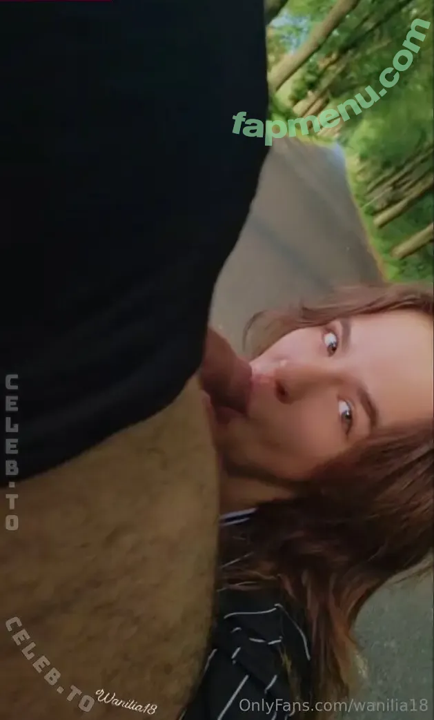 wanilia18 nude photo #0073 (wanilia18)