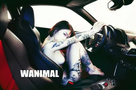 Wanimal Models / wanimal912 nude photo #0023