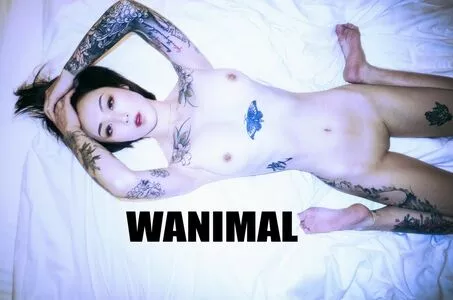 Wanimal Models / wanimal912 nude photo #0037