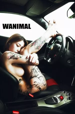 Wanimal Models / wanimal912 nude photo #0042