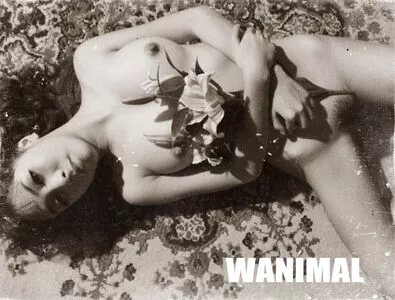 Wanimal Models / wanimal912 nude photo #0159