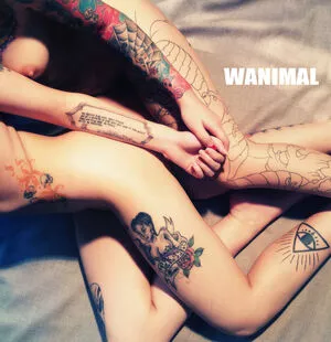 Wanimal Models / wanimal912 nude photo #0180