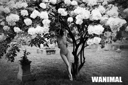 Wanimal Models / wanimal912 nude photo #0864
