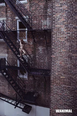 Wanimal Models / wanimal912 nude photo #0865