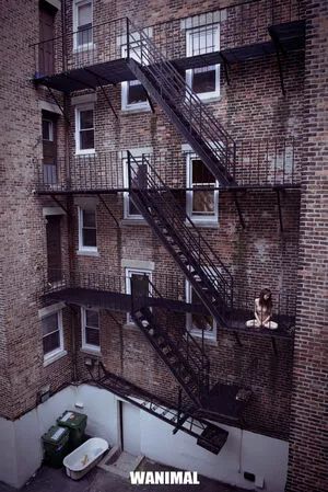 Wanimal Models / wanimal912 nude photo #0866