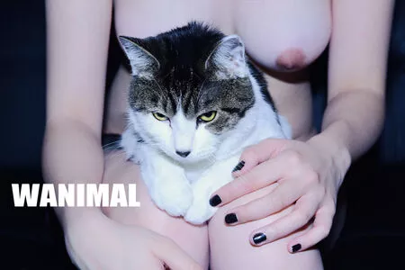 Wanimal Models / wanimal912 nude photo #0874