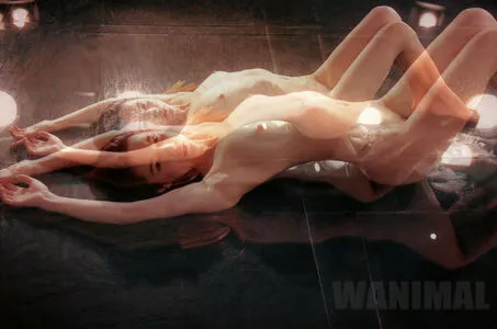 Wanimal Models / wanimal912 nude photo #0907