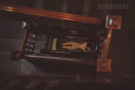 Wanimal Models / wanimal912 nude photo #0935