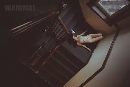 Wanimal Models / wanimal912 nude photo #0936