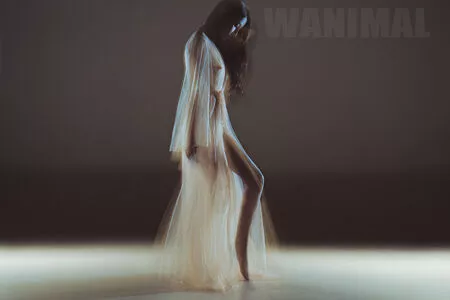 Wanimal Models / wanimal912 nude photo #0939