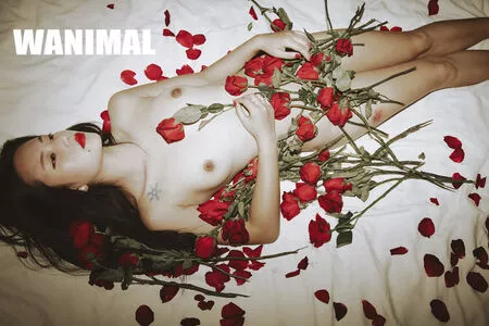 Wanimal Models / wanimal912 nude photo #0941