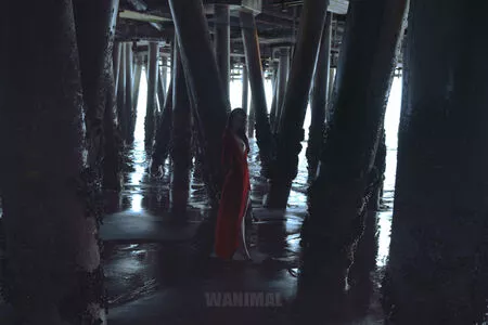 Wanimal Models / wanimal912 nude photo #0952