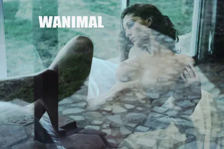 Wanimal Models / wanimal912 nude photo #0956