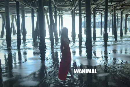 Wanimal Models / wanimal912 nude photo #0977