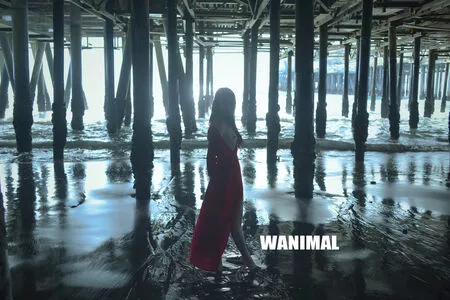 Wanimal Models / wanimal912 nude photo #0978