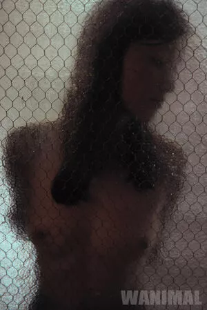 Wanimal Models / wanimal912 nude photo #0979