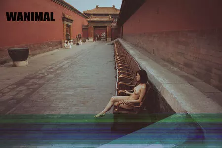 Wanimal Models / wanimal912 nude photo #0983