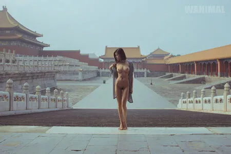 Wanimal Models / wanimal912 nude photo #0984