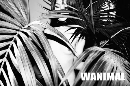 Wanimal Models / wanimal912 nude photo #0988