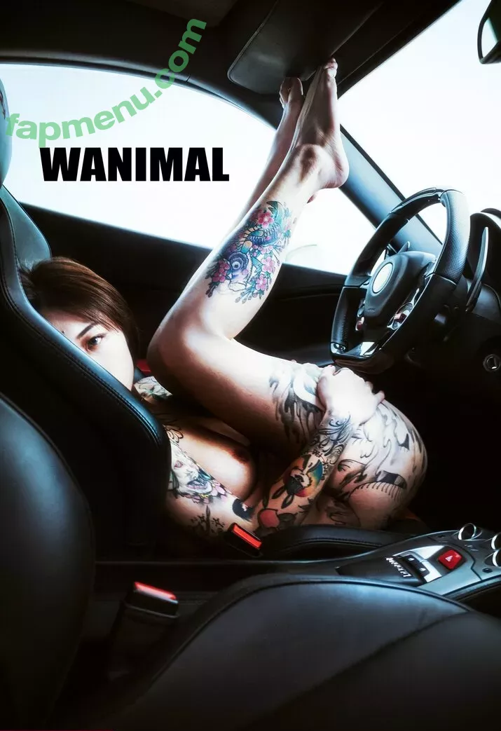 Wanimal Models nude photo #0017 (wanimal912)