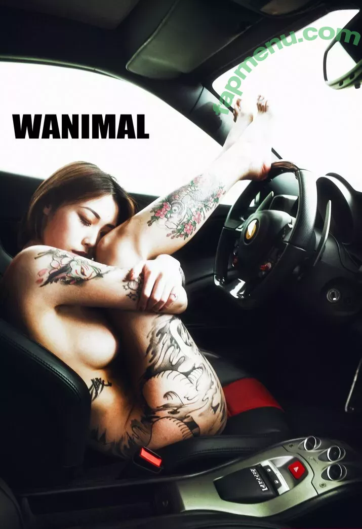 Wanimal Models nude photo #0042 (wanimal912)