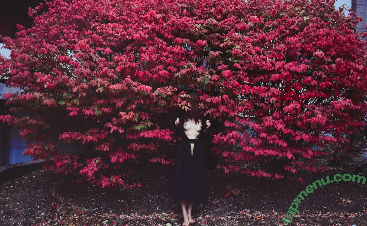 Wanimal Models nude photo #0821 (wanimal912)