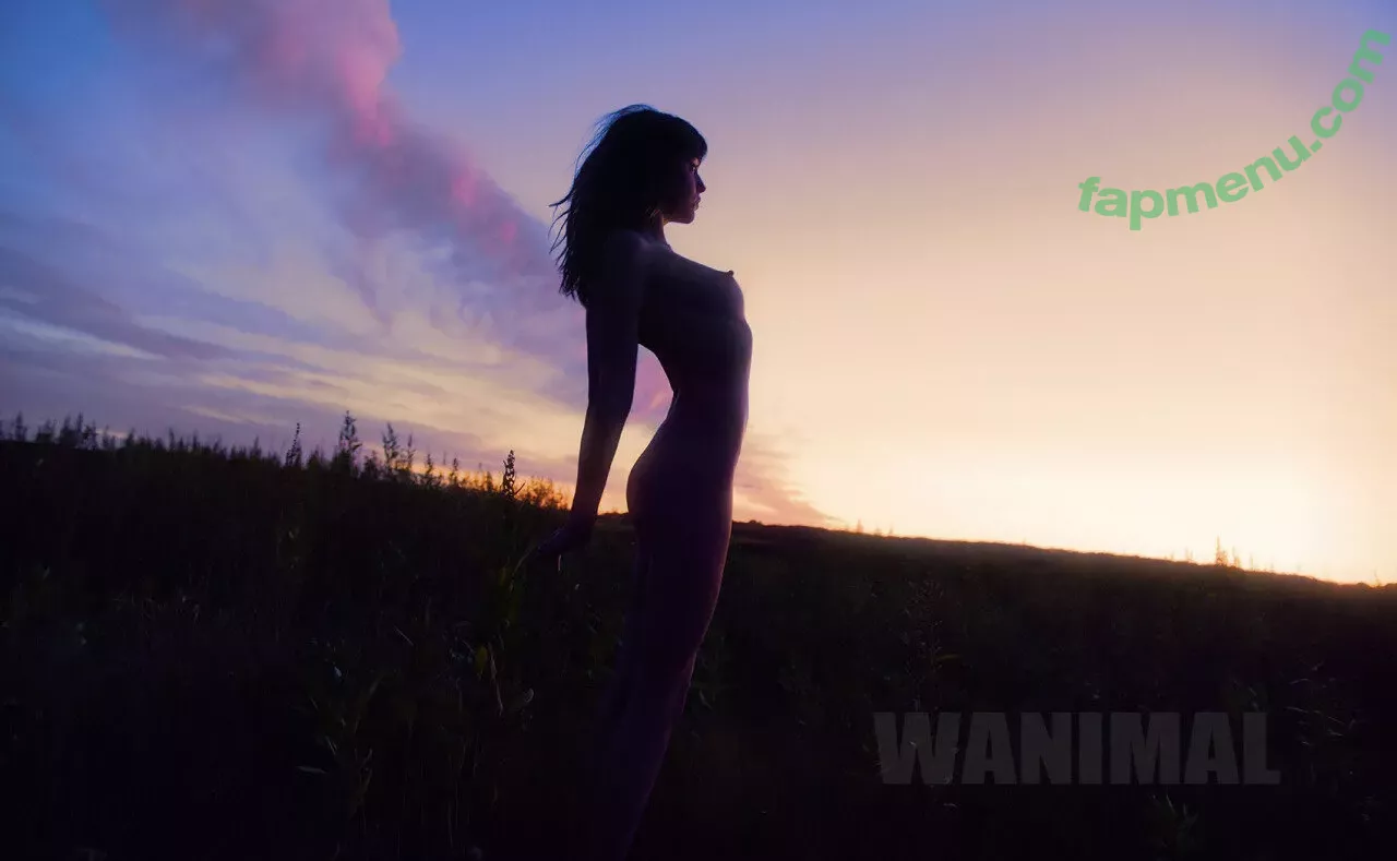 Wanimal Models nude photo #0826 (wanimal912)