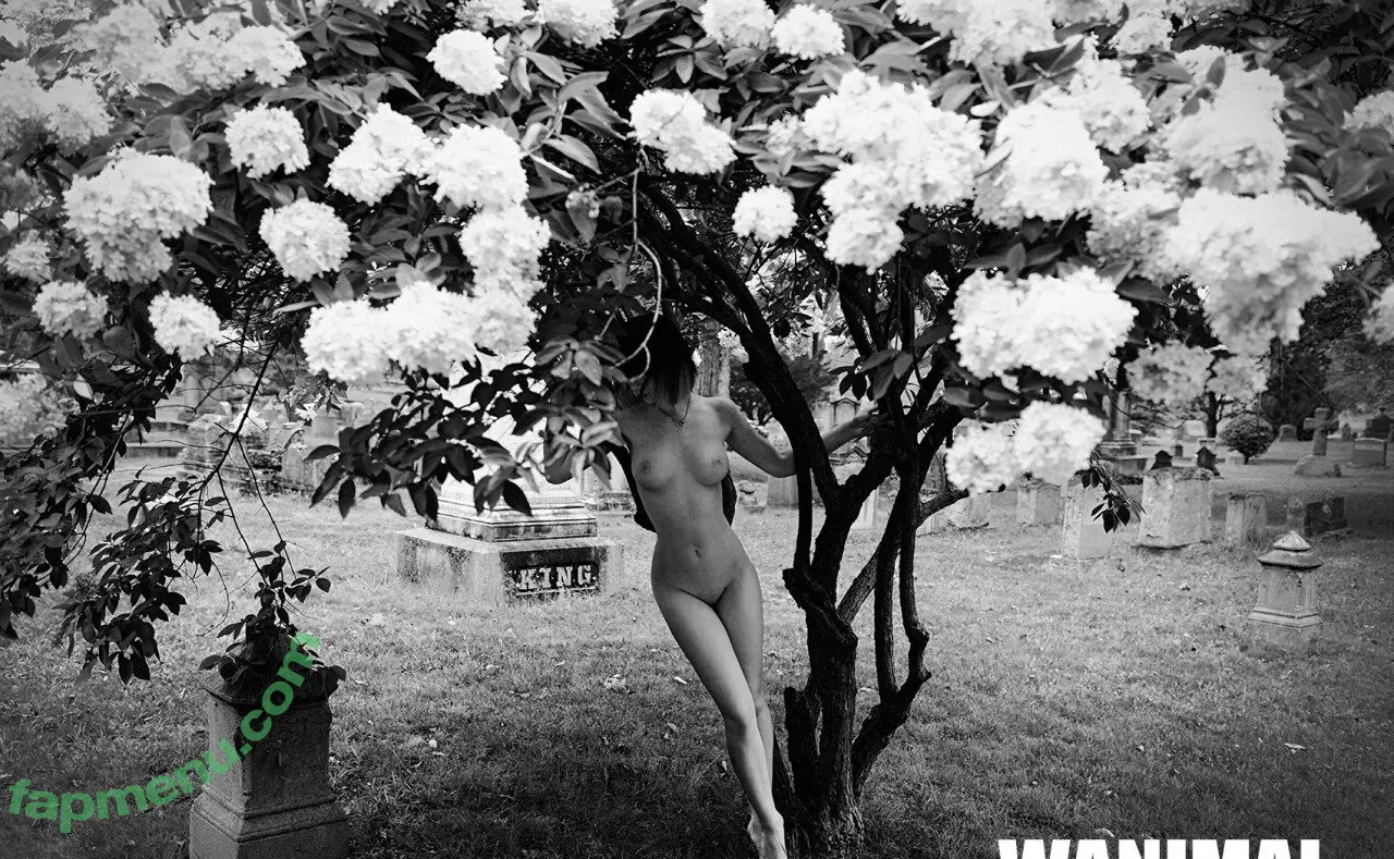 Wanimal Models nude photo #0864 (wanimal912)