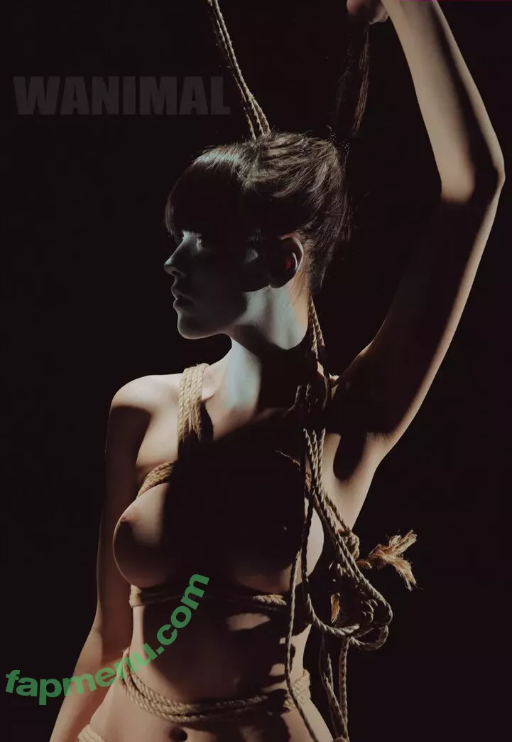 Wanimal Models nude photo #0869 (wanimal912)