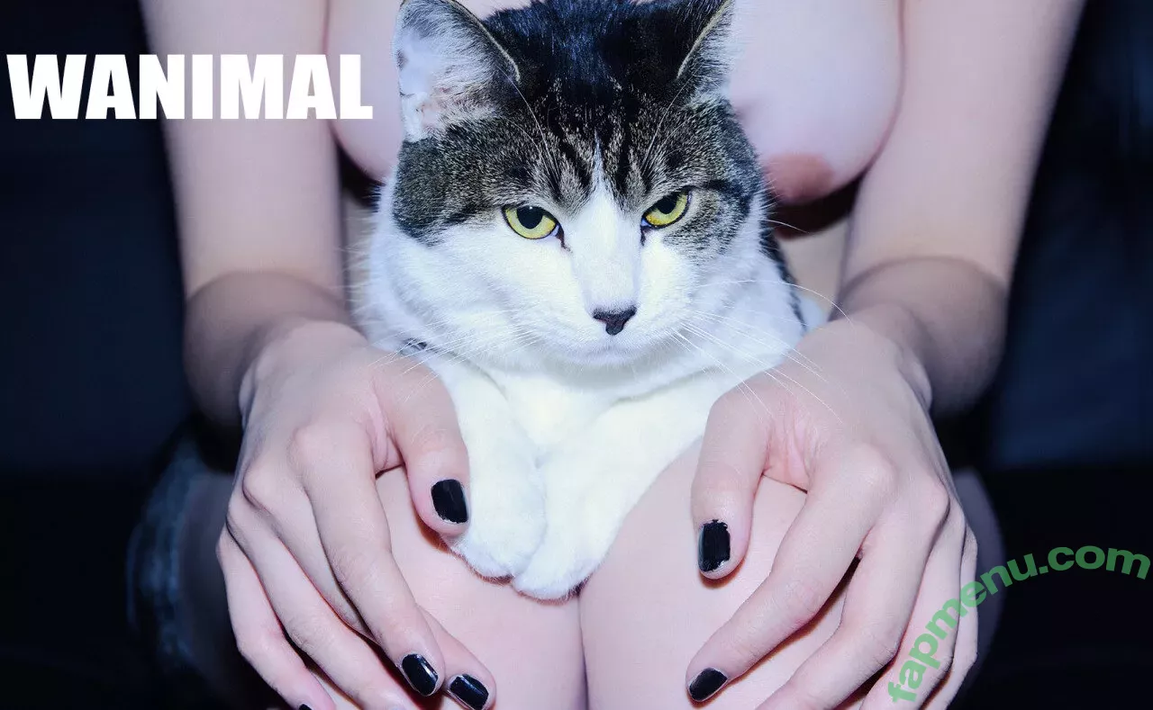 Wanimal Models nude photo #0873 (wanimal912)