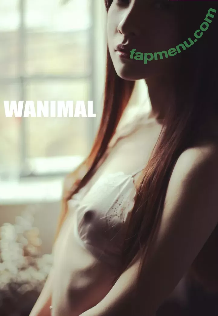 Wanimal Models nude photo #0885 (wanimal912)