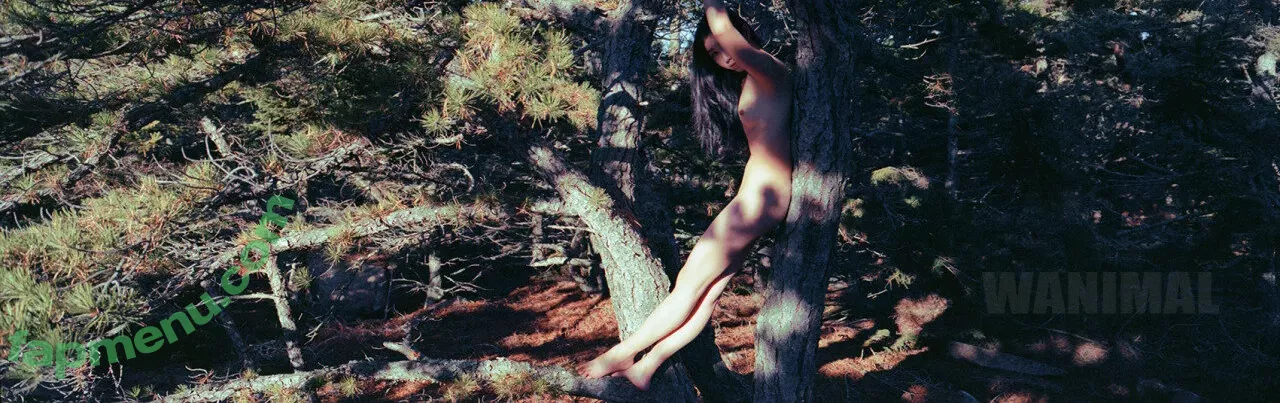 Wanimal Models nude photo #0897 (wanimal912)