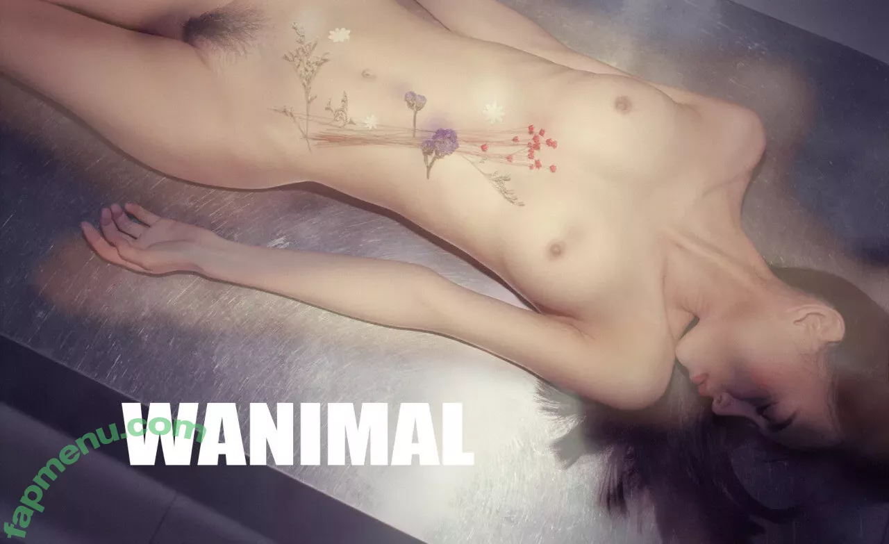 Wanimal Models nude photo #0901 (wanimal912)