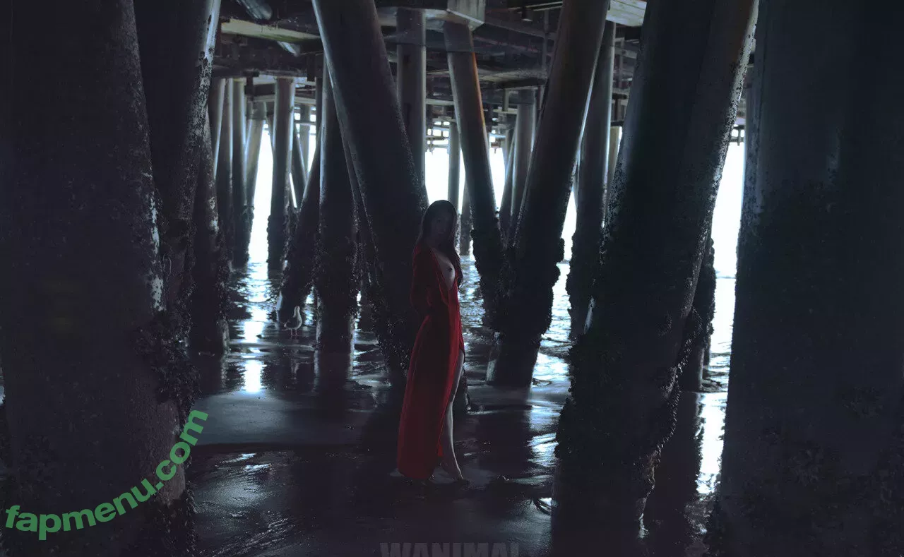 Wanimal Models nude photo #0952 (wanimal912)