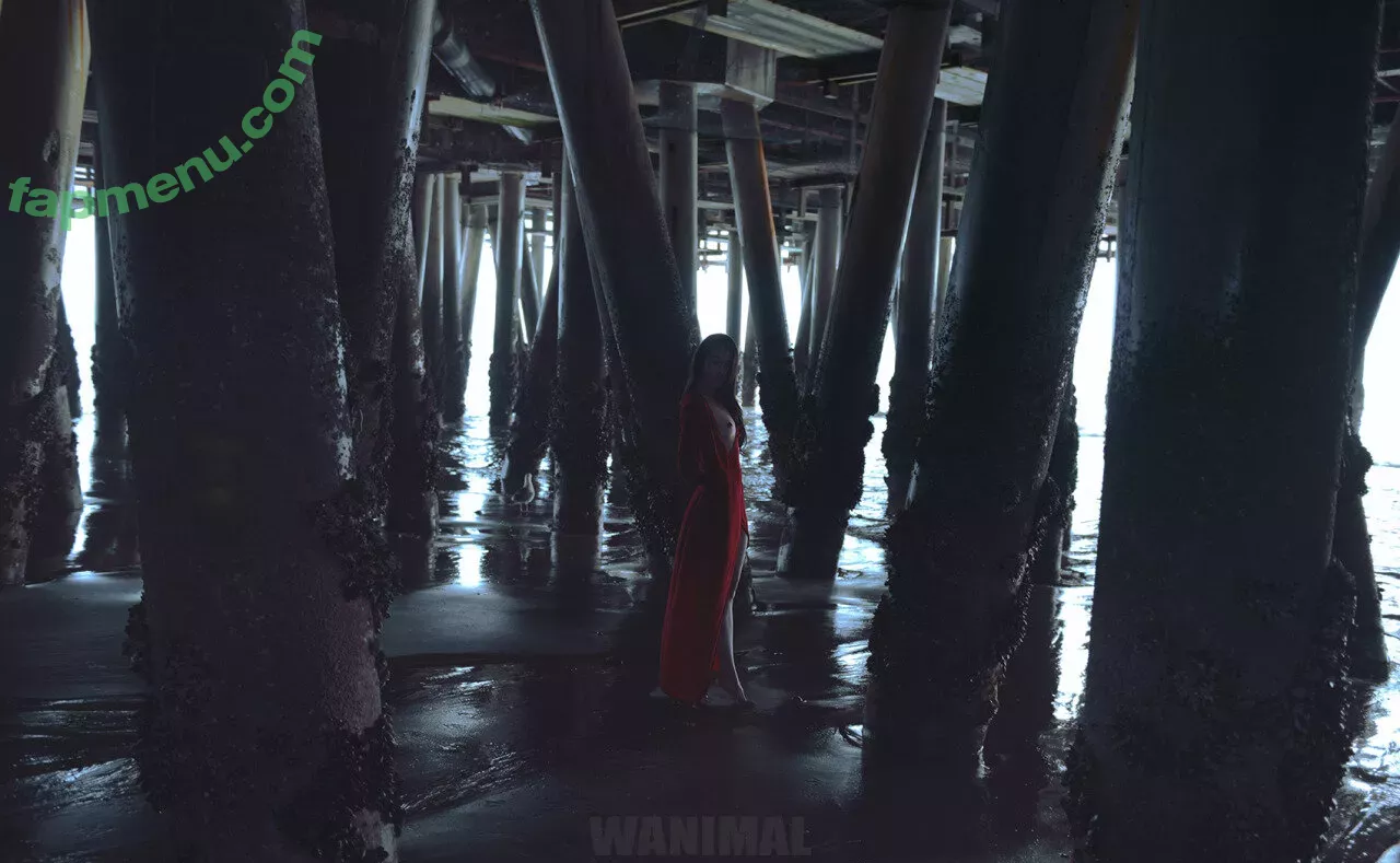 Wanimal Models nude photo #0953 (wanimal912)