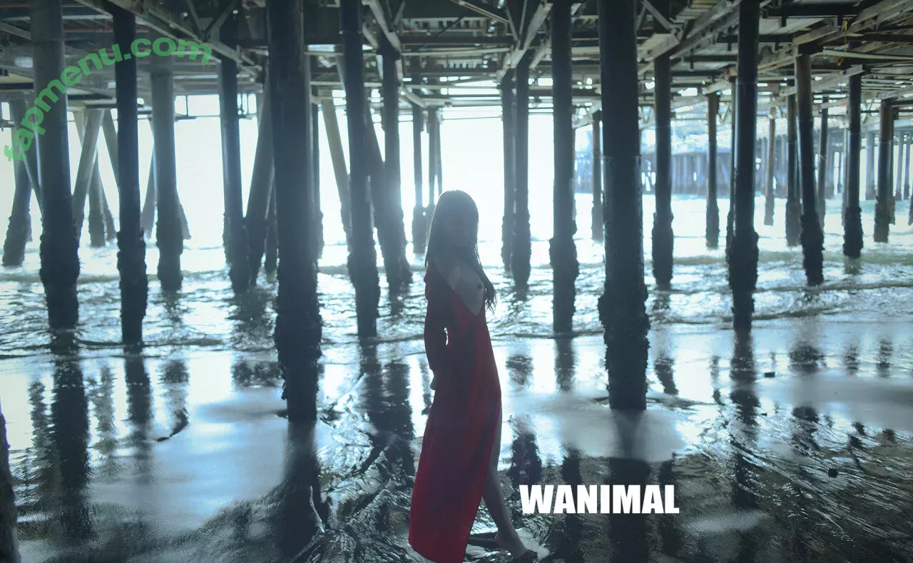 Wanimal Models nude photo #0977 (wanimal912)