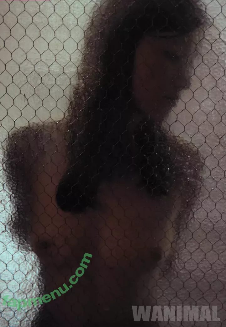 Wanimal Models nude photo #0979 (wanimal912)