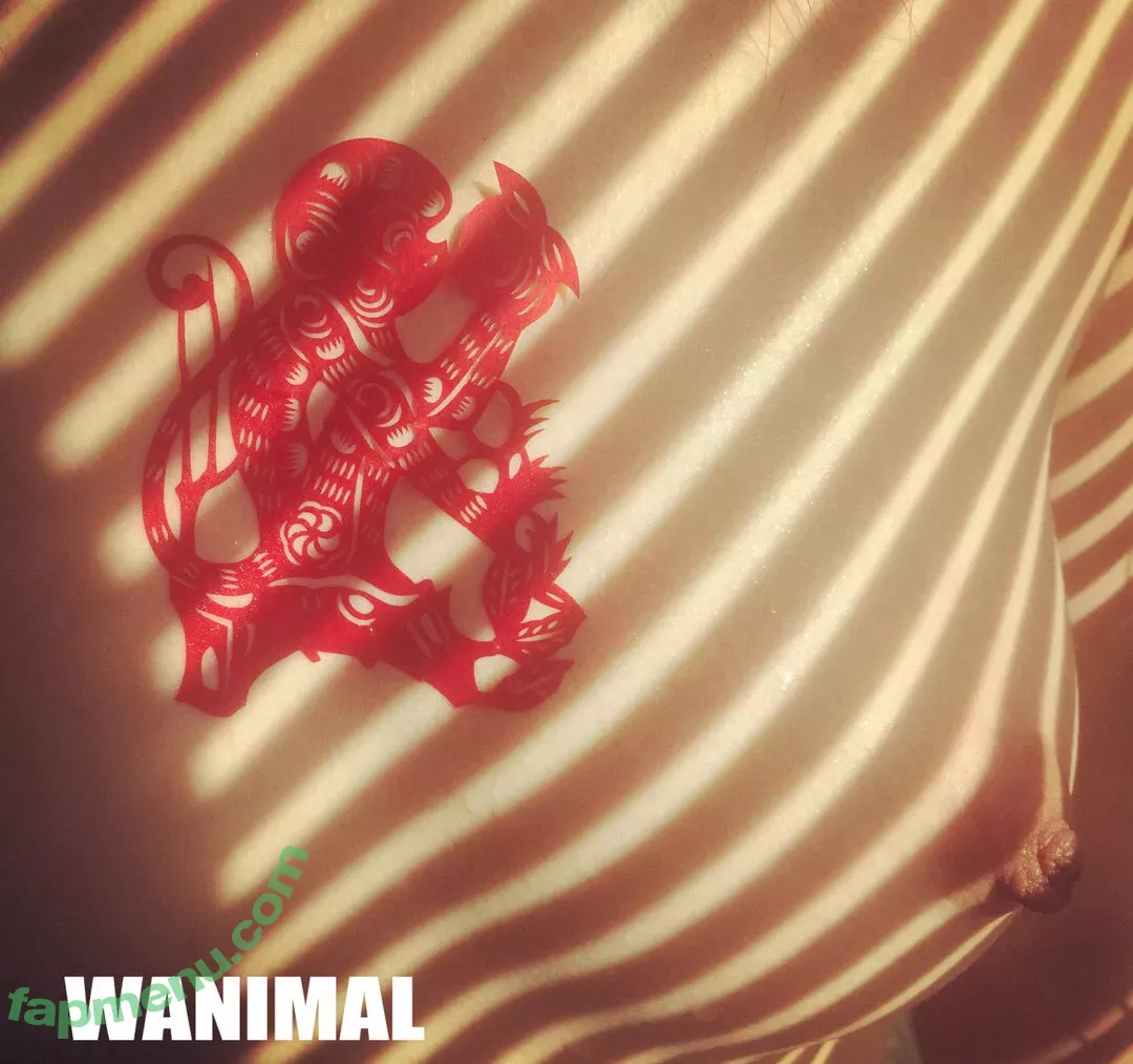 Wanimal Models nude photo #0981 (wanimal912)