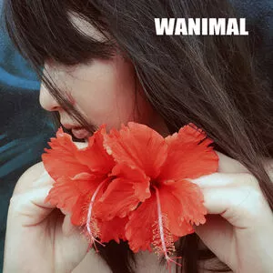 Wanimal Models / wanimal912 nude photo #1035