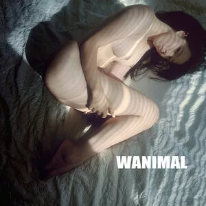 Wanimal Models / wanimal912 nude photo #1042