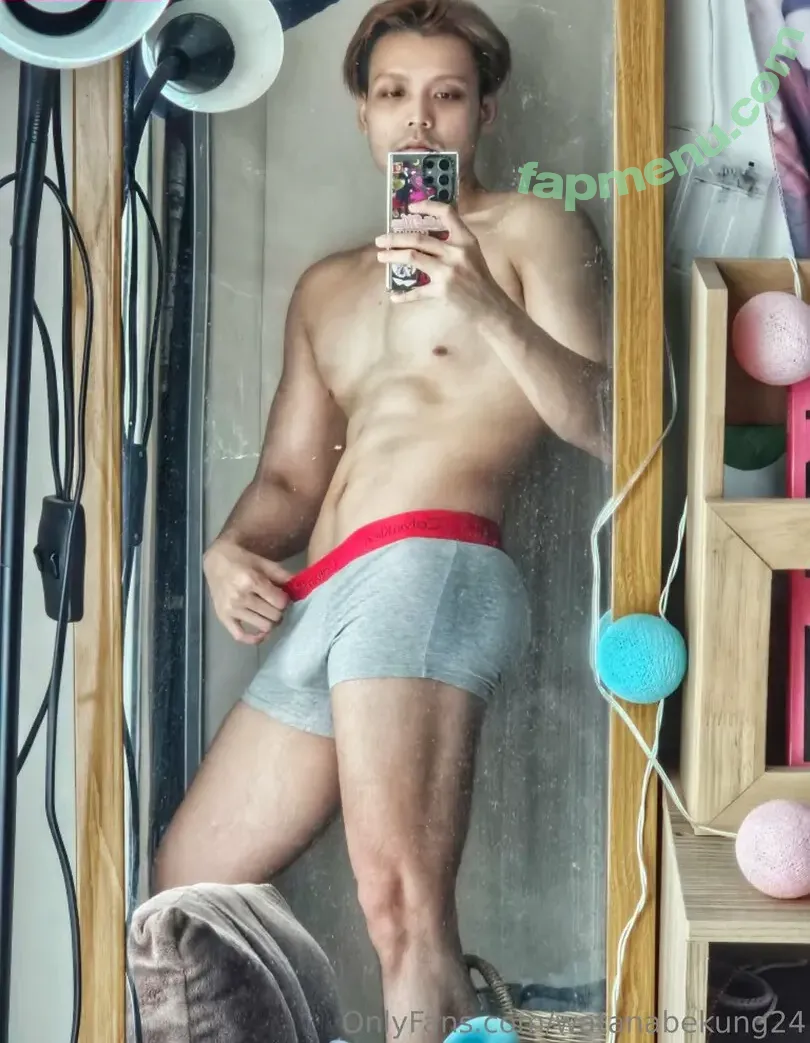 watanabekung24 nude photo #0009 (wanangu__24)