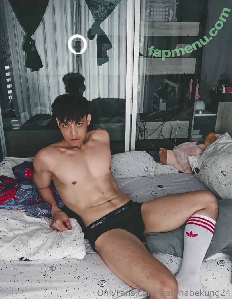 watanabekung24 nude photo #0017 (wanangu__24)