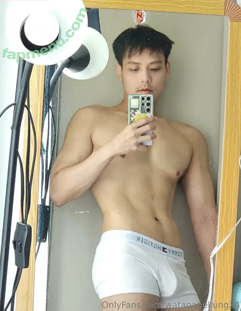 watanabekung24 nude photo #0033 (wanangu__24)
