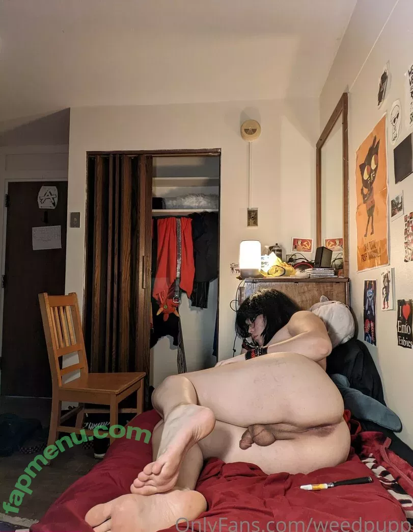 weedpupp nude photo #0001 (Aeon / weedpup)